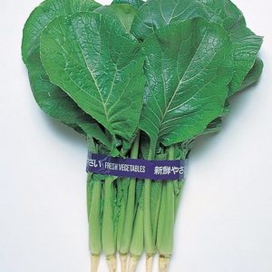 Oriental Green Komatsuna