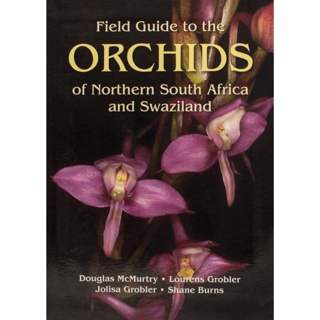 Field Guide to the Orchids of Northern South Africa and Swaziland - Image 2