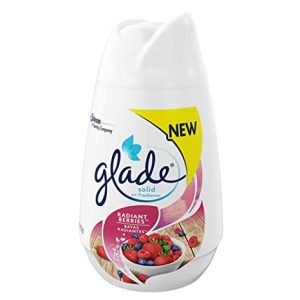 Glade Solid Freshener 6oz Fresh Berries
