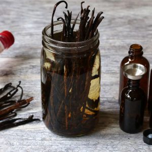 Vanille BV – Vanilla Extract 1-Fold – PV500(01-05-10-25)