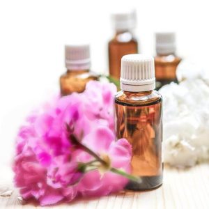 Geranium Essential Oil