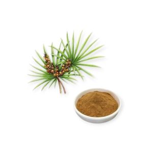 Saw Palmetto Extract Powder