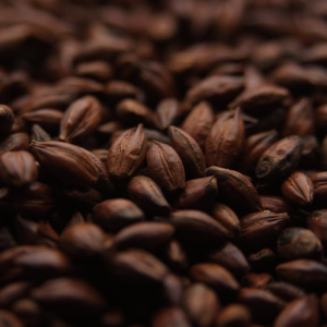 CHOCOLATE Malt from Crisp Malting 1lb Unmilled