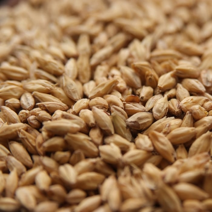 BRIESS 2-Row Brewers Base Malt – 1 LB Uncrushed - Image 2